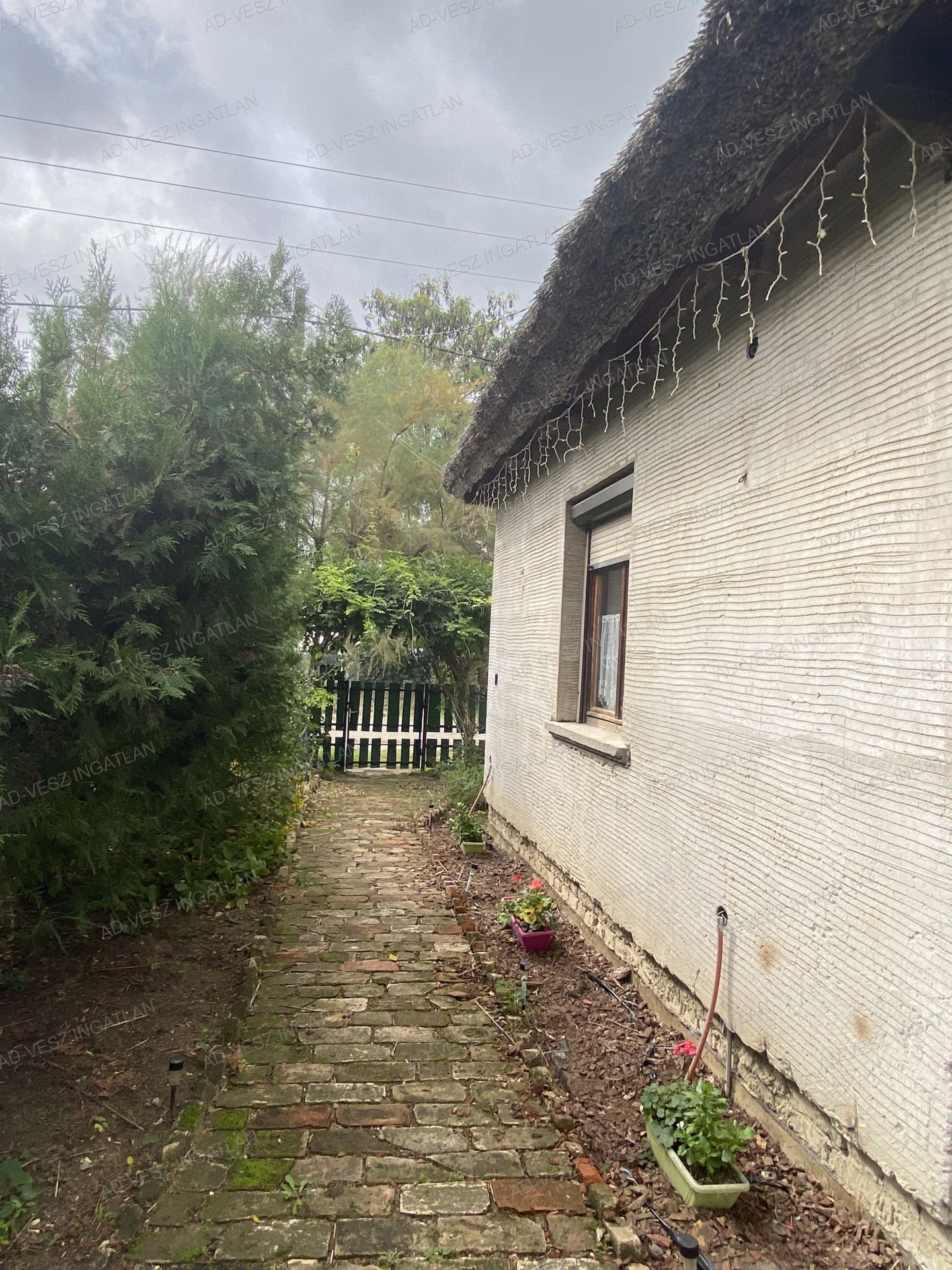 A fájl már létezik a célhelyen: import/kepek/vizjeles_5494522.jpg
Eladó Családi ház Dabas  110 m<sup>2</sup> 57.9 millió Ft