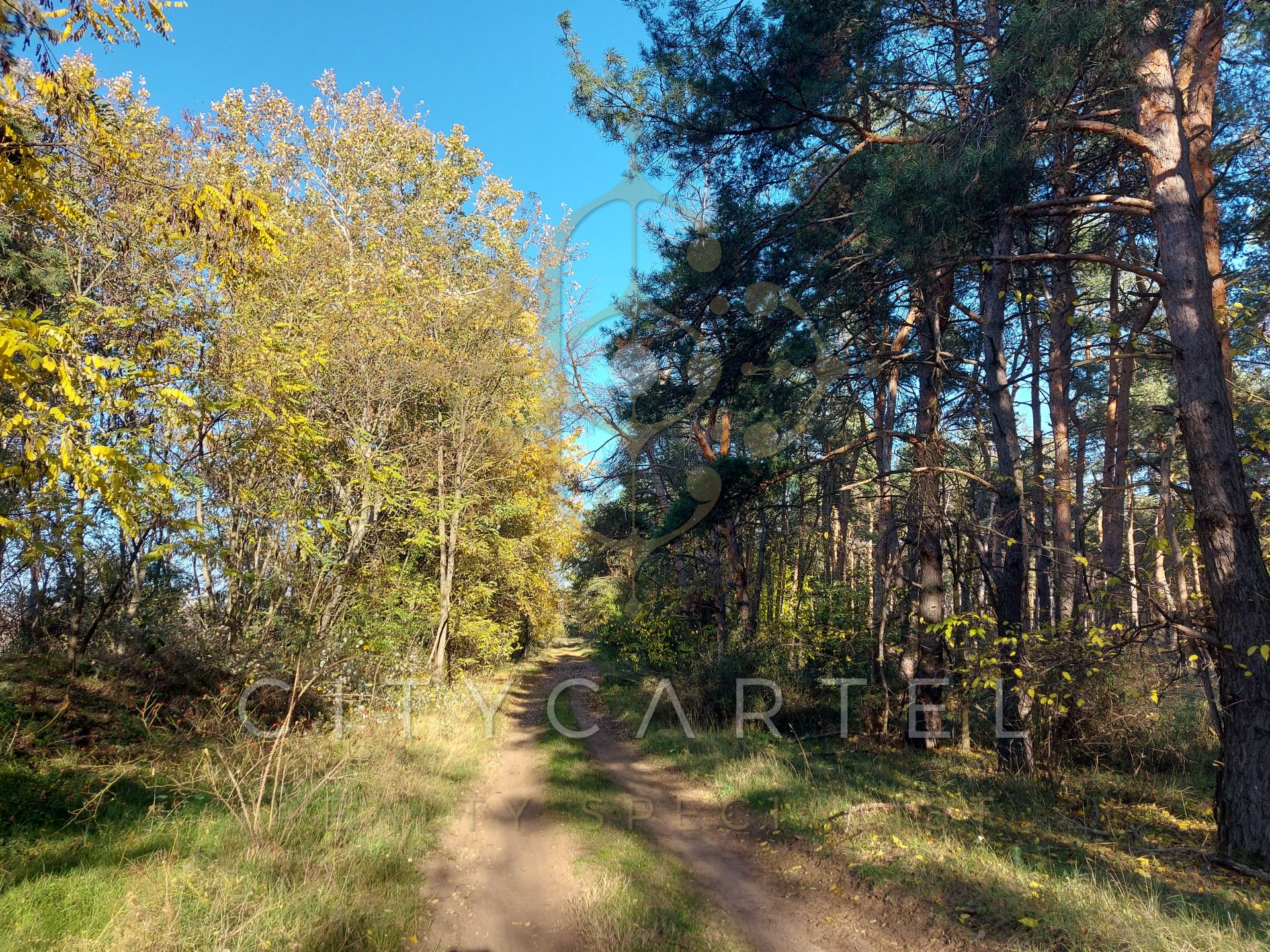 A fájl már létezik a célhelyen: import/kepek/vizjeles_5516925.jpg
Eladó Erdő Paks  149248 m<sup>2</sup> 350 millió Ft