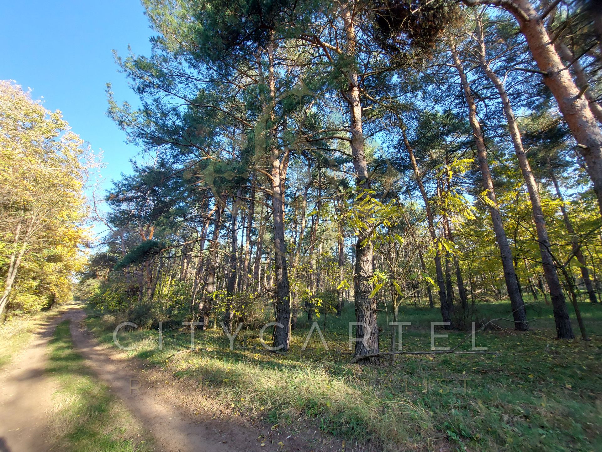 A fájl már létezik a célhelyen: import/kepek/vizjeles_5516928.jpg
Eladó Erdő Paks  149248 m<sup>2</sup> 350 millió Ft