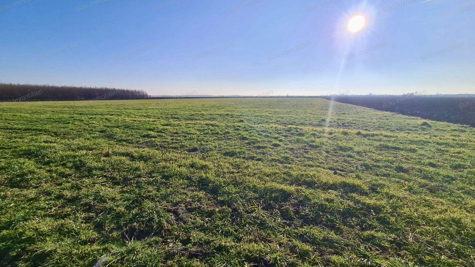 A fájl már létezik a célhelyen: import/kepek/vizjeles_5575925.jpg
For sale Arable land Szolnok  19858 m<sup>2</sup> 4.5 millió Ft