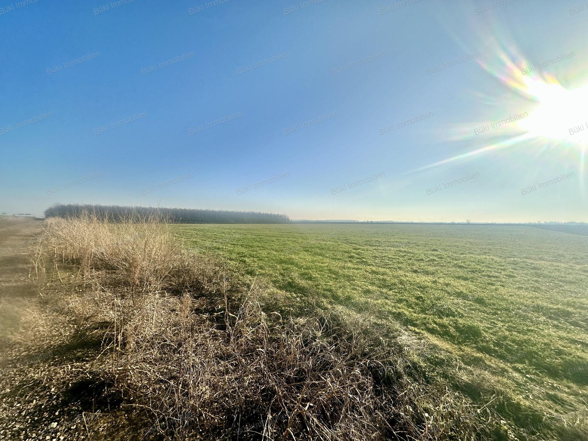 A fájl már létezik a célhelyen: import/kepek/vizjeles_5575926.jpg
For sale Arable land Szolnok  19858 m<sup>2</sup> 4.5 millió Ft