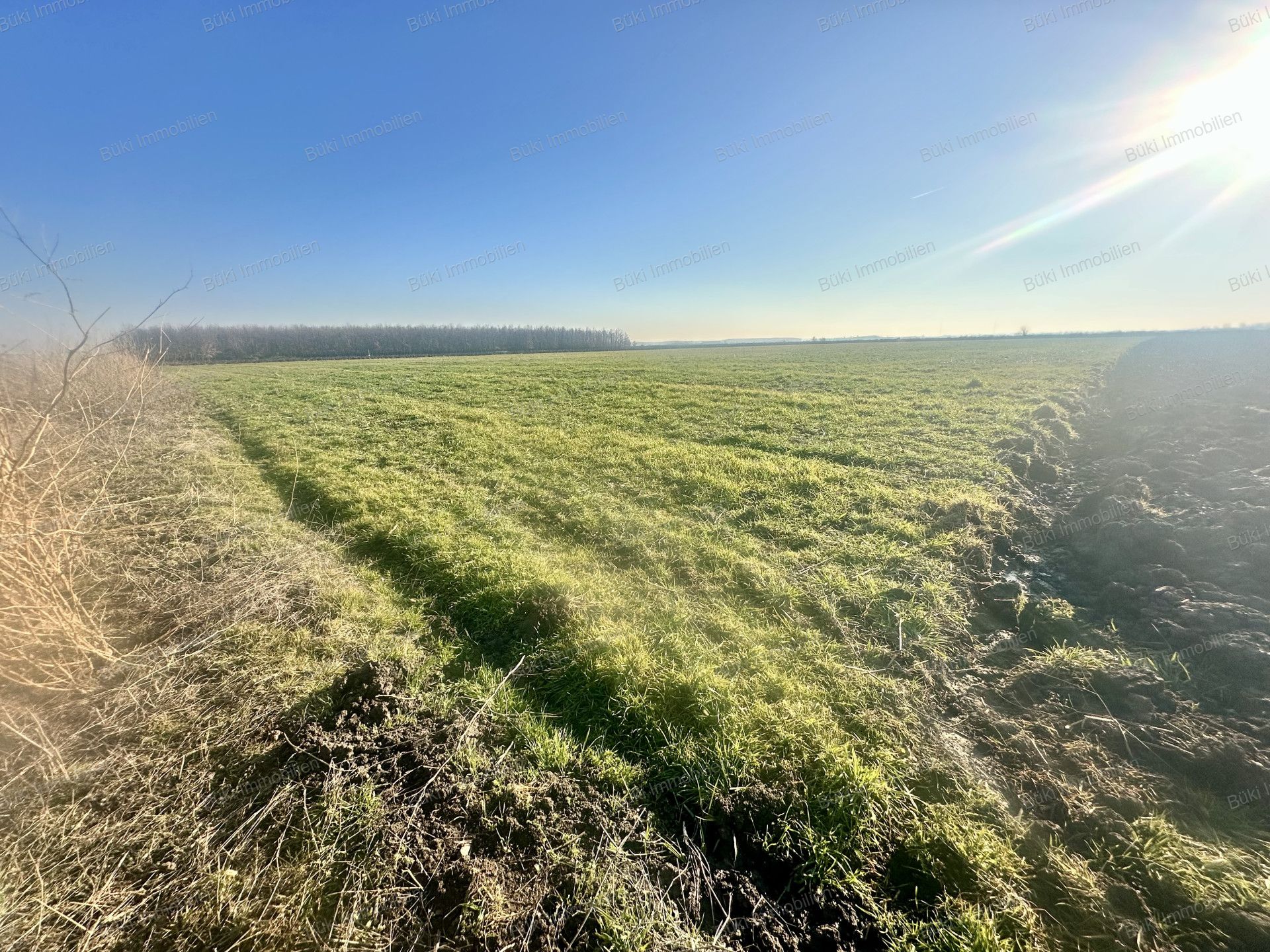 A fájl már létezik a célhelyen: import/kepek/vizjeles_5575930.jpg
For sale Arable land Szolnok  19858 m<sup>2</sup> 4.5 millió Ft
