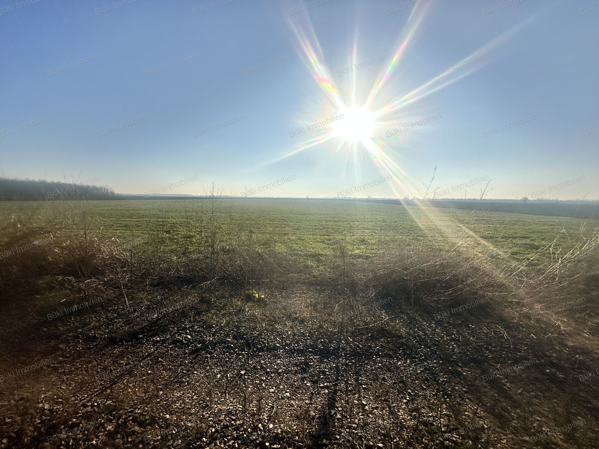 A fájl már létezik a célhelyen: import/kepek/vizjeles_5575932.jpg
For sale Arable land Szolnok  19858 m<sup>2</sup> 4.5 millió Ft