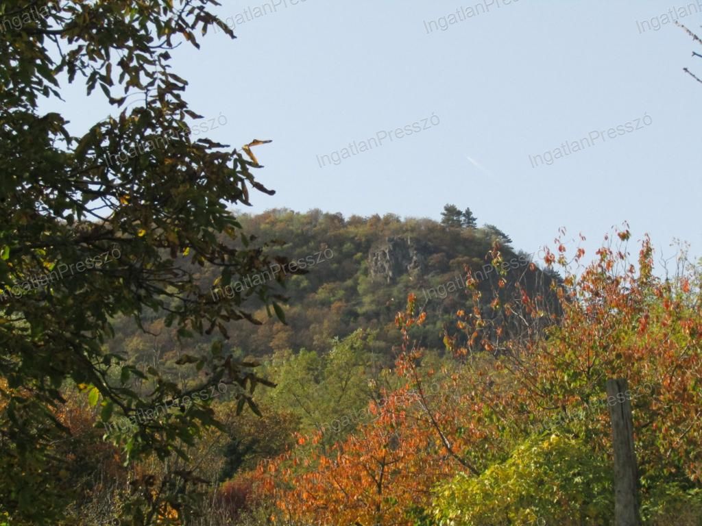 A fájl már létezik a célhelyen: import/kepek/vizjeles_5586675.jpg
Eladó nyaraló Kisapáti  95 m<sup>2</sup> 74 millió Ft
