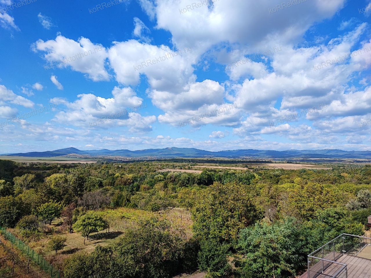 A fájl már létezik a célhelyen: import/kepek/vizjeles_5594037.jpg
Eladó Téglalakás Gyöngyös  167 m<sup>2</sup> 143.068 millió Ft