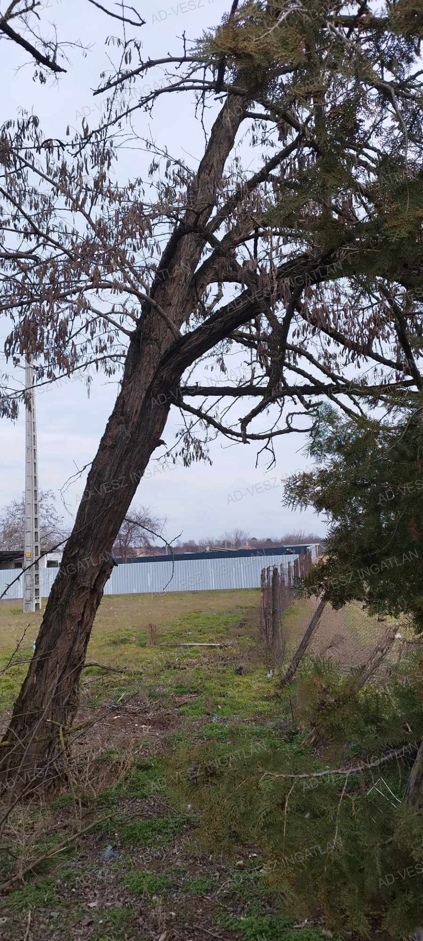 A fájl már létezik a célhelyen: import/kepek/vizjeles_5620051.jpg
Eladó Építési telek Dabas  730 m<sup>2</sup> 8.9 millió Ft