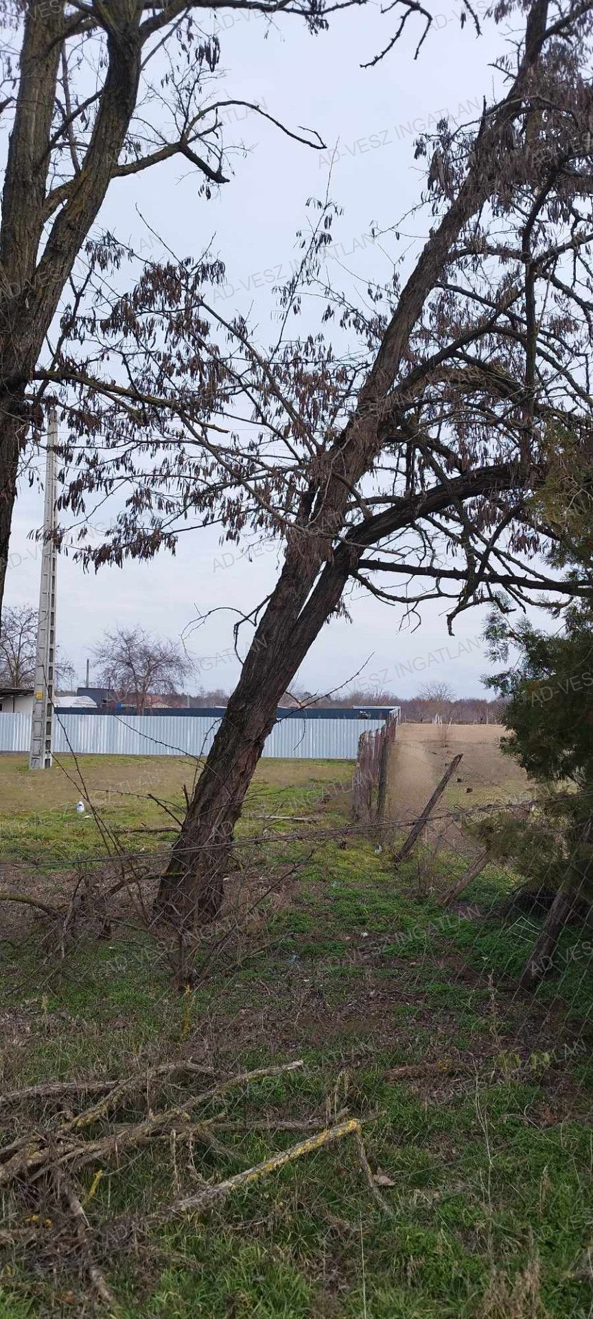 A fájl már létezik a célhelyen: import/kepek/vizjeles_5620054.jpg
Eladó Építési telek Dabas  730 m<sup>2</sup> 8.9 millió Ft