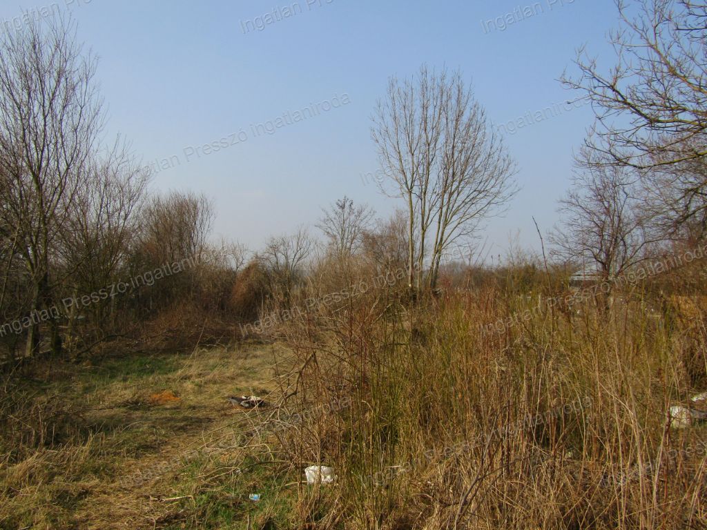 A fájl már létezik a célhelyen: import/kepek/vizjeles_5645069.jpg
Eladó Családi ház Gógánfa  90 m<sup>2</sup> 6.9 millió Ft