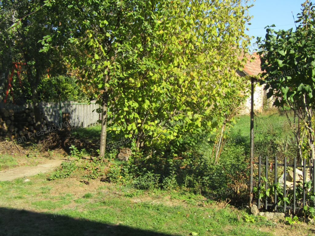 A fájl már létezik a célhelyen: import/kepek/vizjeles_5645473.jpg
Eladó Téglalakás Sümeg  128 m<sup>2</sup> 30 millió Ft