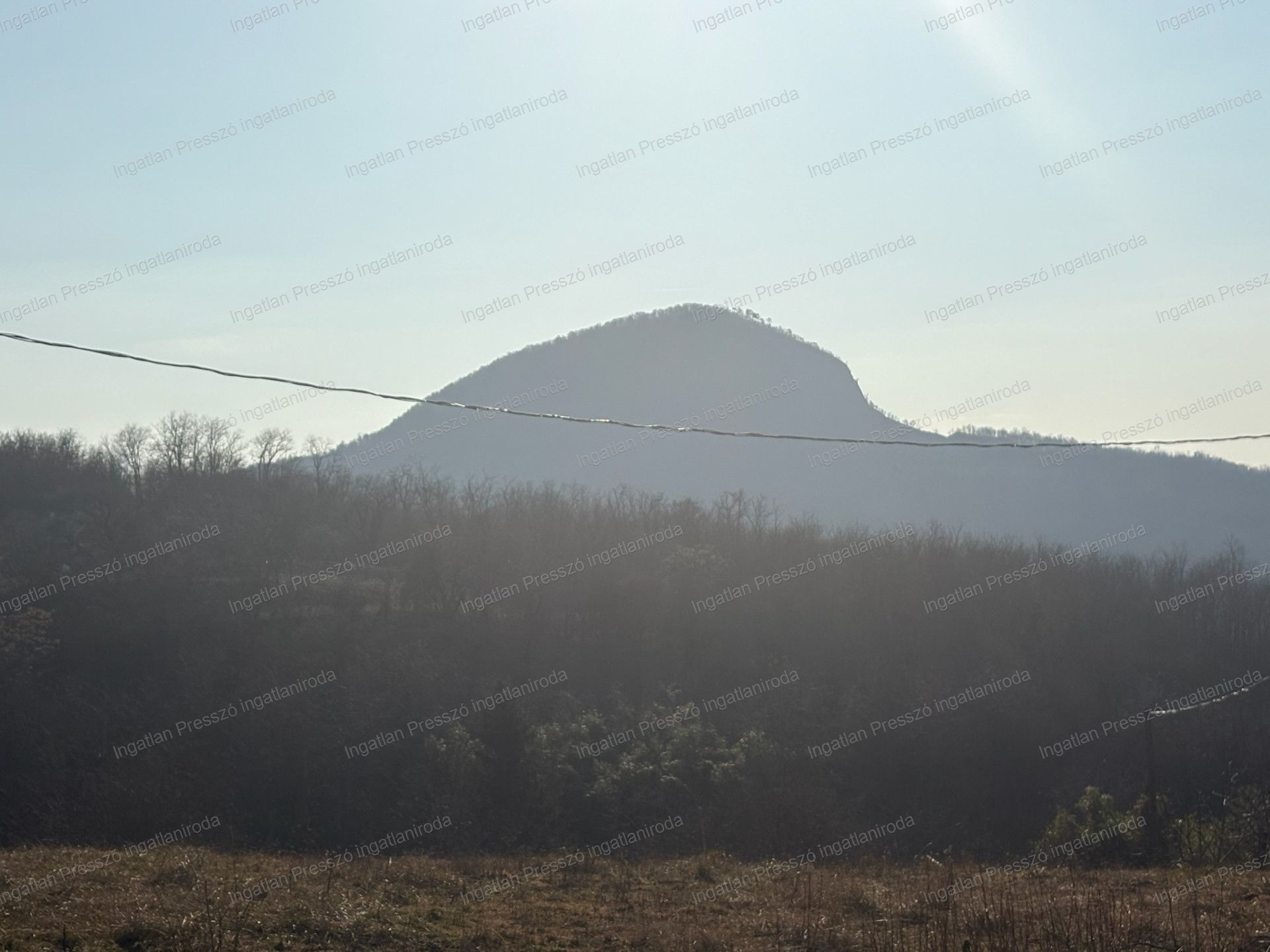 A fájl már létezik a célhelyen: import/kepek/vizjeles_5651076.jpg
Eladó Zártkert Káptalantóti  4005 m<sup>2</sup> 19.5 millió Ft
