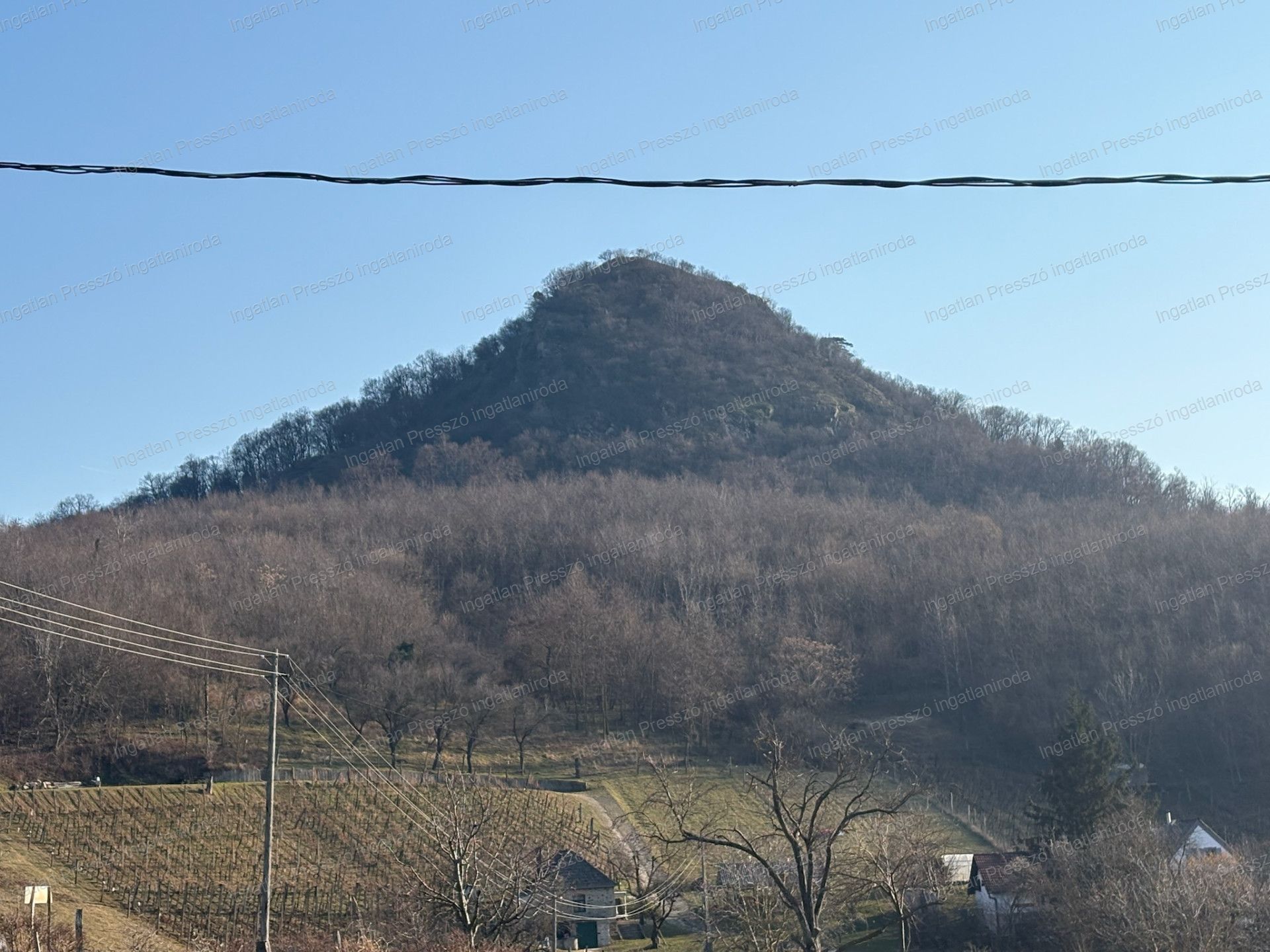 A fájl már létezik a célhelyen: import/kepek/vizjeles_5651077.jpg
Eladó Zártkert Káptalantóti  4005 m<sup>2</sup> 19.5 millió Ft