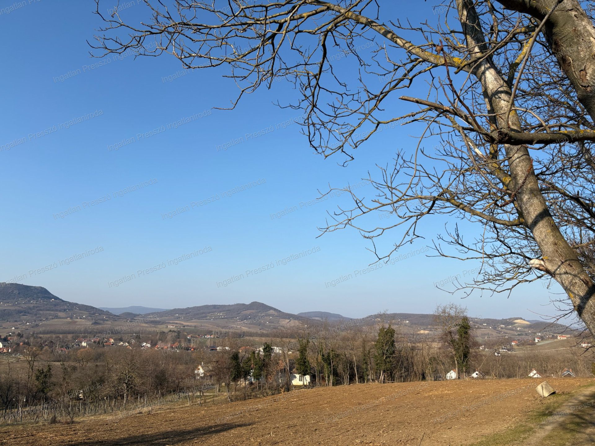 A fájl már létezik a célhelyen: import/kepek/vizjeles_5651080.jpg
Eladó Zártkert Káptalantóti  4005 m<sup>2</sup> 19.5 millió Ft