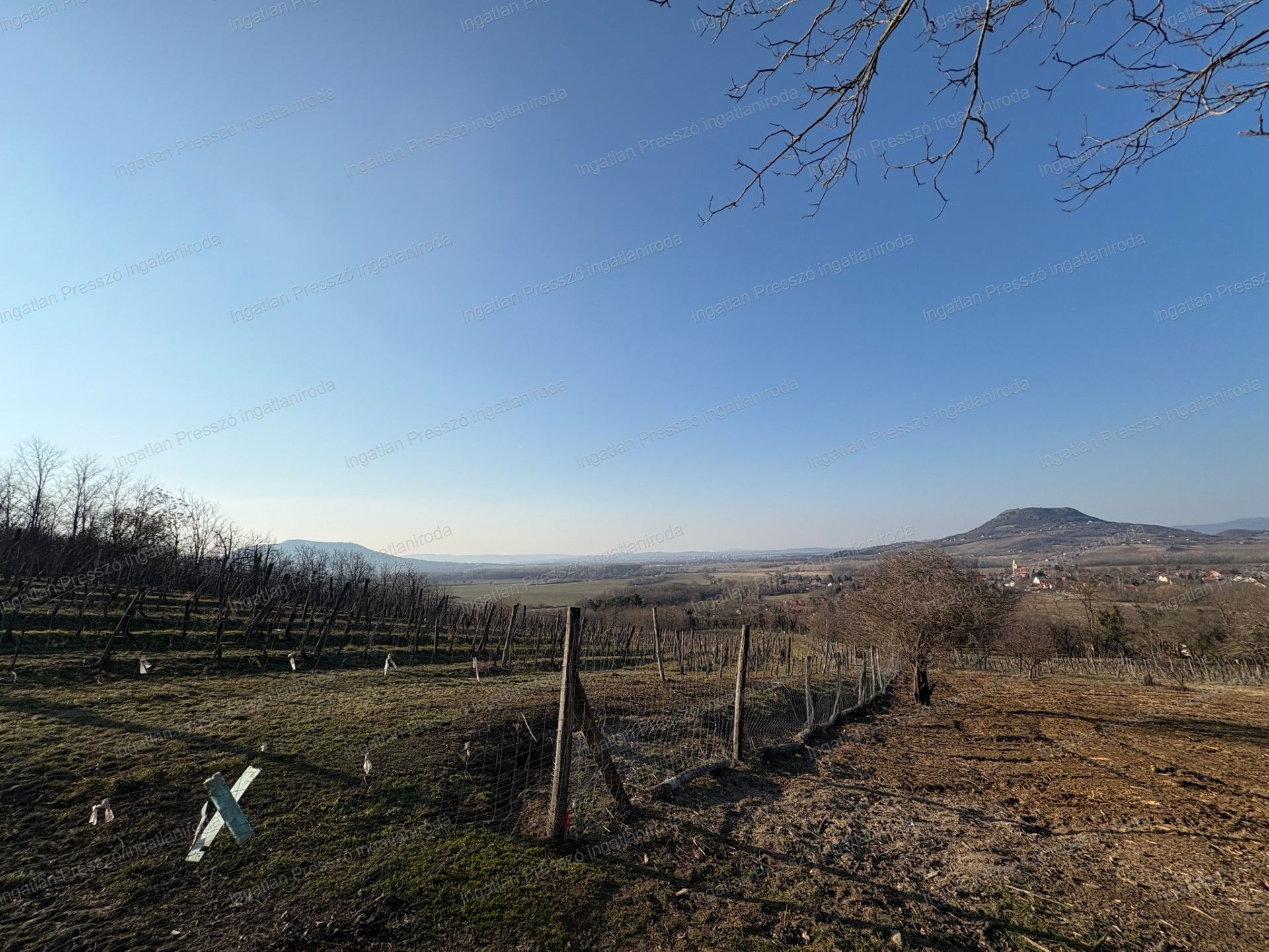 A fájl már létezik a célhelyen: import/kepek/vizjeles_5651081.jpg
Eladó Zártkert Káptalantóti  4005 m<sup>2</sup> 19.5 millió Ft