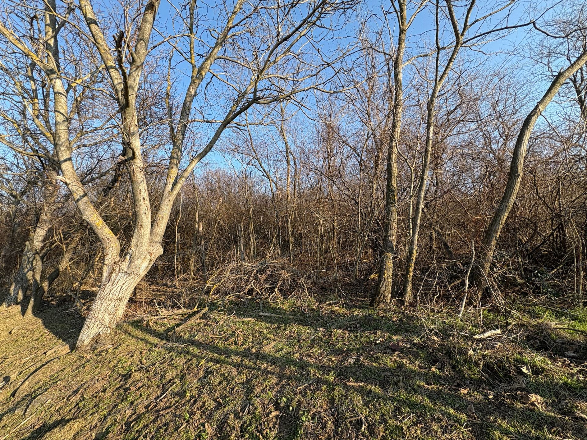 A fájl már létezik a célhelyen: import/kepek/vizjeles_5651082.jpg
Eladó Zártkert Káptalantóti  4005 m<sup>2</sup> 19.5 millió Ft