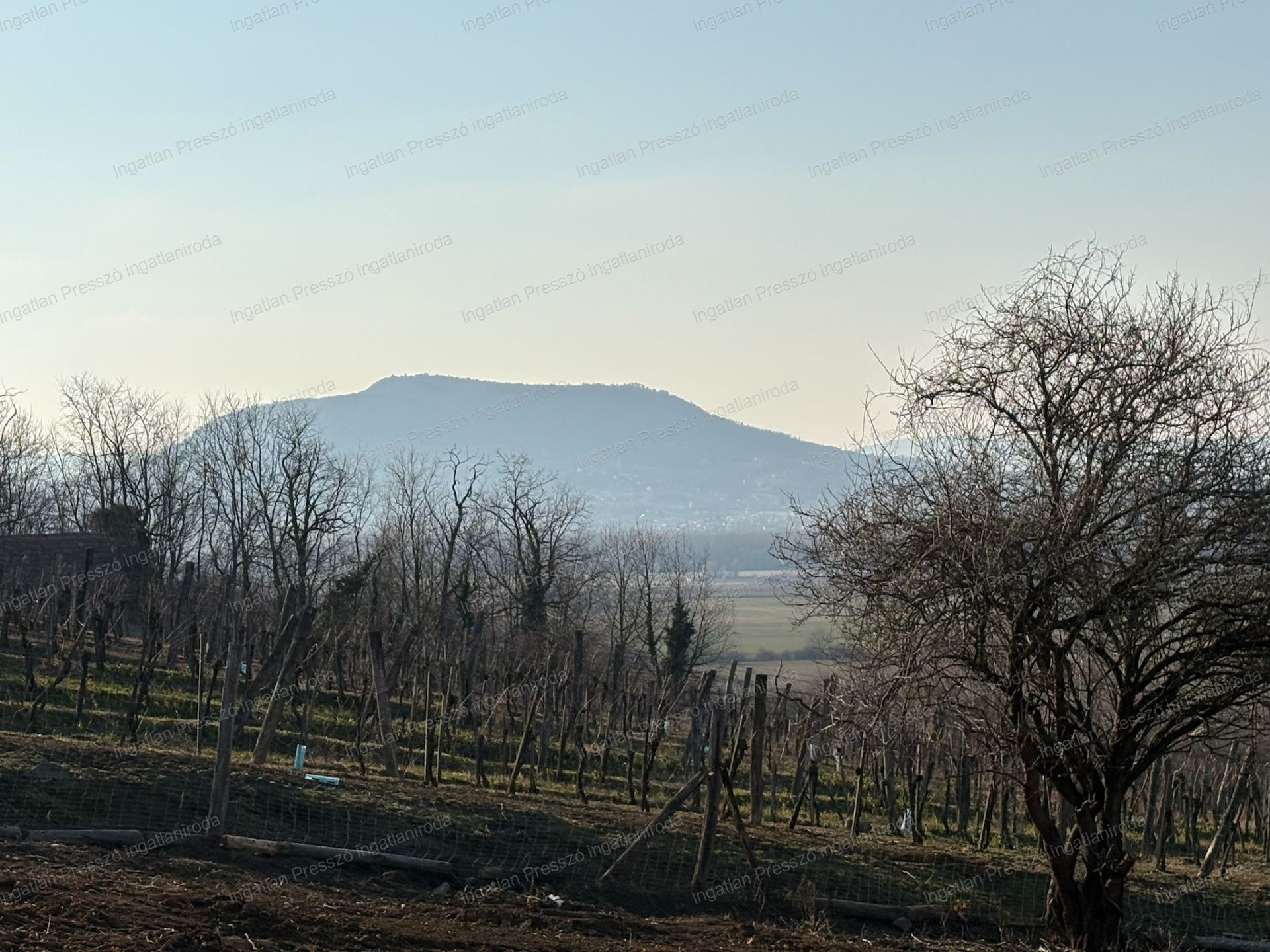 A fájl már létezik a célhelyen: import/kepek/vizjeles_5651092.jpg
Eladó Zártkert Káptalantóti  4005 m<sup>2</sup> 19.5 millió Ft