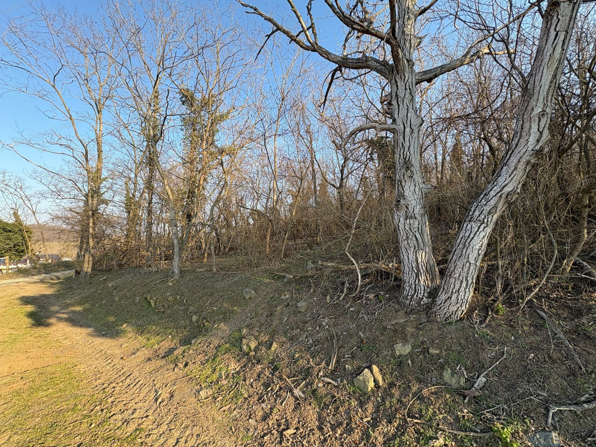 A fájl már létezik a célhelyen: import/kepek/vizjeles_5651102.jpg
Eladó Zártkert Káptalantóti  4005 m<sup>2</sup> 19.5 millió Ft