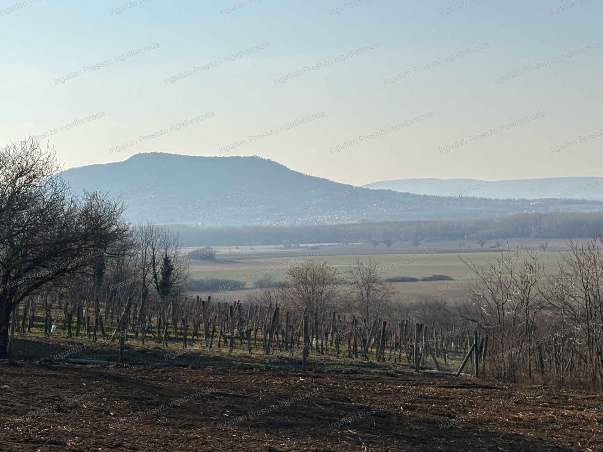 A fájl már létezik a célhelyen: import/kepek/vizjeles_5651103.jpg
Eladó Zártkert Káptalantóti  4005 m<sup>2</sup> 19.5 millió Ft