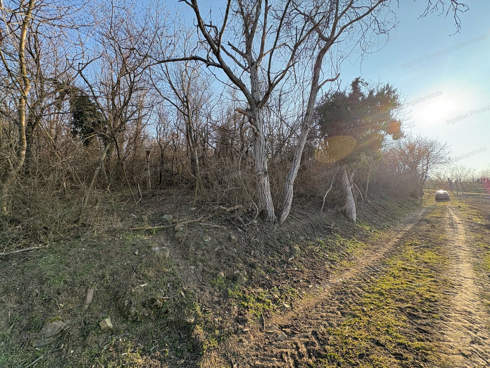 A fájl már létezik a célhelyen: import/kepek/vizjeles_5651106.jpg
Eladó Zártkert Káptalantóti  4005 m<sup>2</sup> 19.5 millió Ft