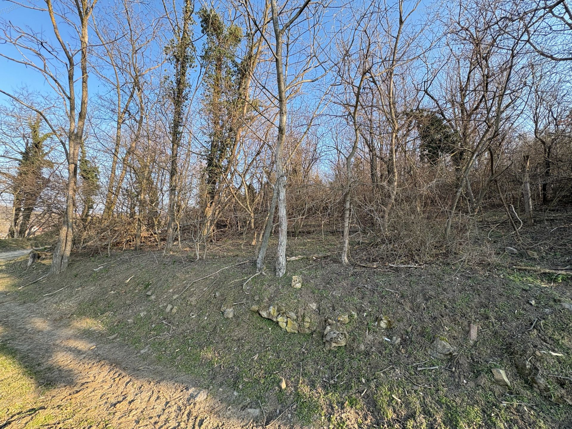 A fájl már létezik a célhelyen: import/kepek/vizjeles_5651107.jpg
Eladó Zártkert Káptalantóti  4005 m<sup>2</sup> 19.5 millió Ft