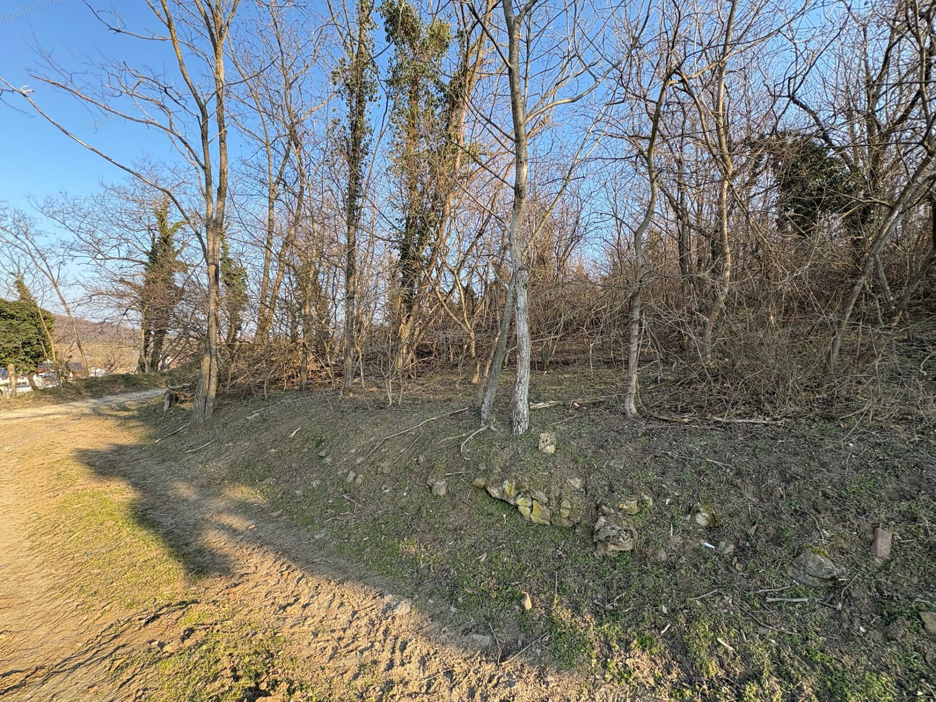 A fájl már létezik a célhelyen: import/kepek/vizjeles_5651108.jpg
Eladó Zártkert Káptalantóti  4005 m<sup>2</sup> 19.5 millió Ft
