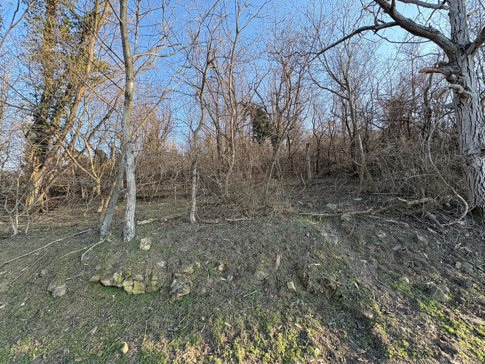 A fájl már létezik a célhelyen: import/kepek/vizjeles_5651109.jpg
Eladó Zártkert Káptalantóti  4005 m<sup>2</sup> 19.5 millió Ft
