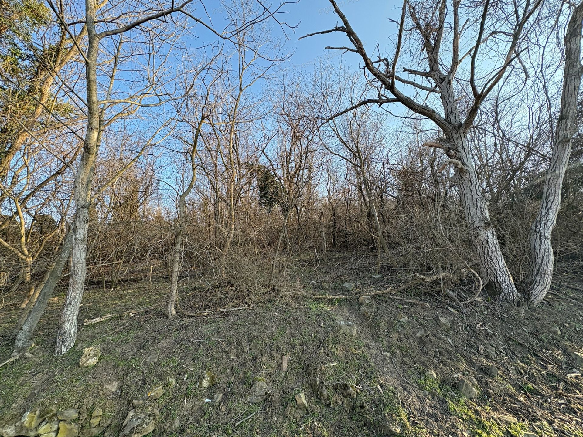 A fájl már létezik a célhelyen: import/kepek/vizjeles_5651110.jpg
Eladó Zártkert Káptalantóti  4005 m<sup>2</sup> 19.5 millió Ft