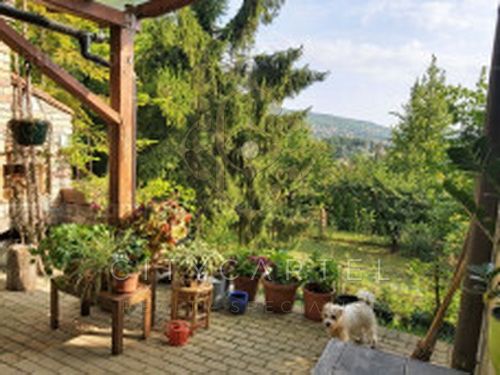 A fájl már létezik a célhelyen: import/kepek/vizjeles_5677903.jpg
Eladó Családi ház Nagykovácsi  130 m<sup>2</sup> 158 millió Ft