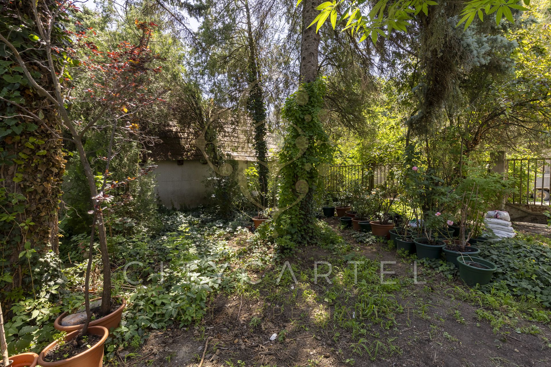 A fájl már létezik a célhelyen: import/kepek/vizjeles_5698341.jpg
For sale house Verőce  110 m<sup>2</sup> 58 millió Ft