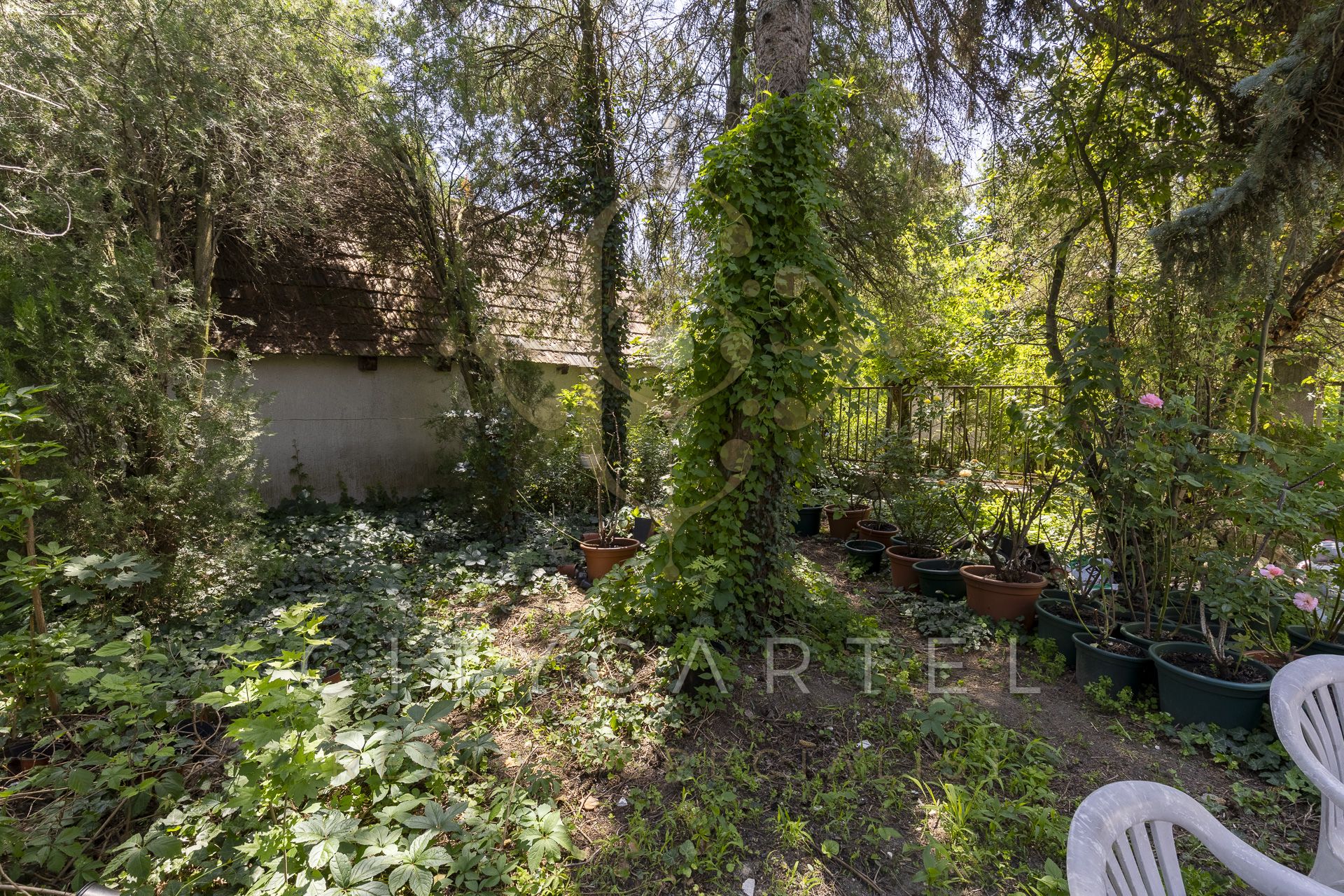 A fájl már létezik a célhelyen: import/kepek/vizjeles_5698355.jpg
For sale house Verőce  110 m<sup>2</sup> 58 millió Ft