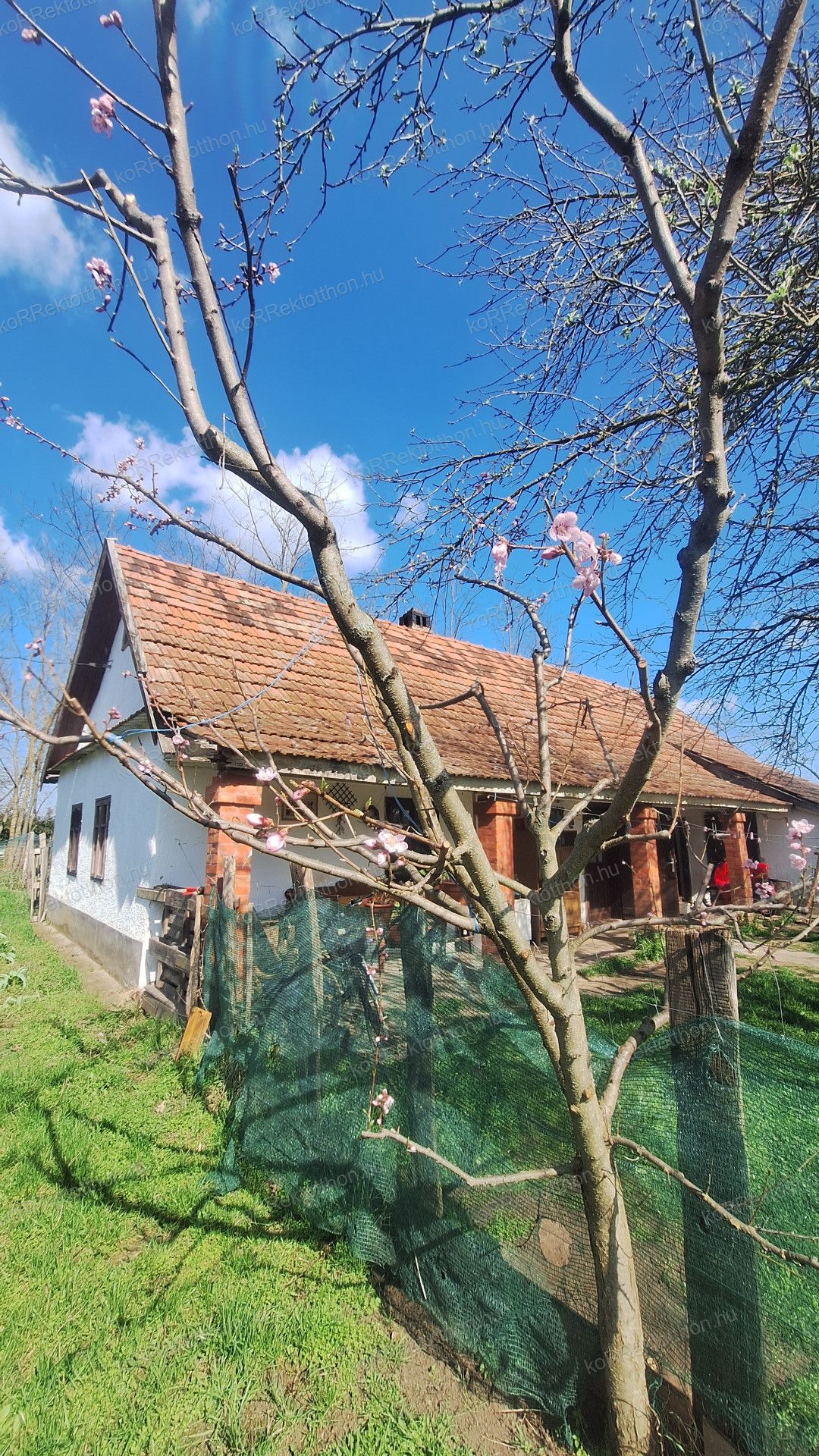 A fájl már létezik a célhelyen: import/kepek/vizjeles_5704511.jpg
Eladó Tanya Jászberény  40 m<sup>2</sup> 16.99 millió Ft