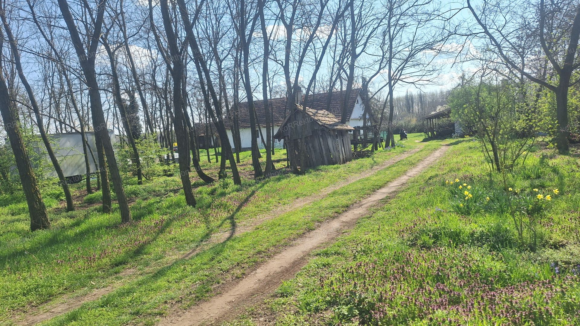 A fájl már létezik a célhelyen: import/kepek/vizjeles_5704514.jpg
Eladó Tanya Jászberény  40 m<sup>2</sup> 16.99 millió Ft