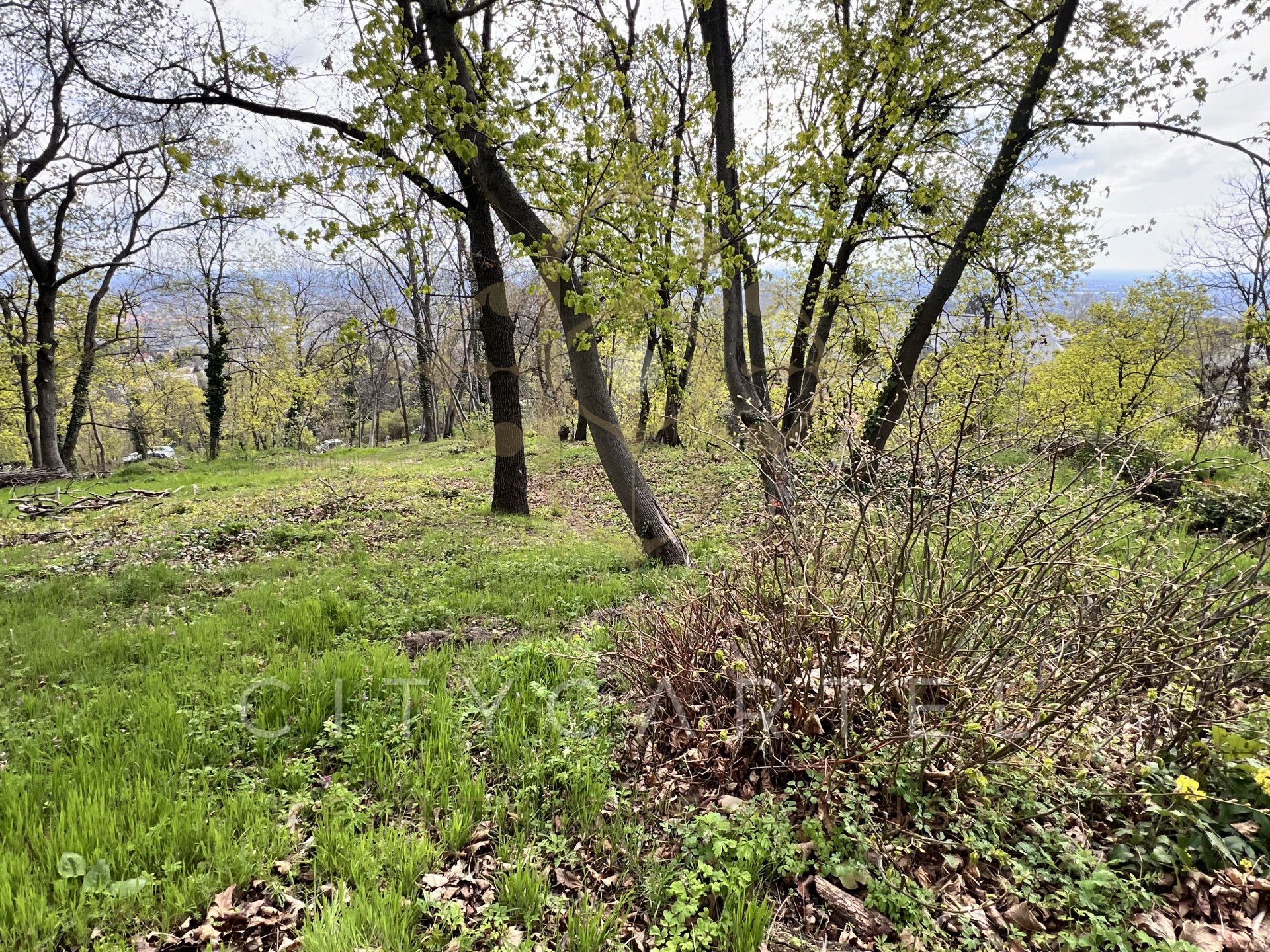 A fájl már létezik a célhelyen: import/kepek/vizjeles_5704896.jpg
Eladó Építési telek Budapest, XII. kerület  6800 m<sup>2</sup> 7000000 EUR