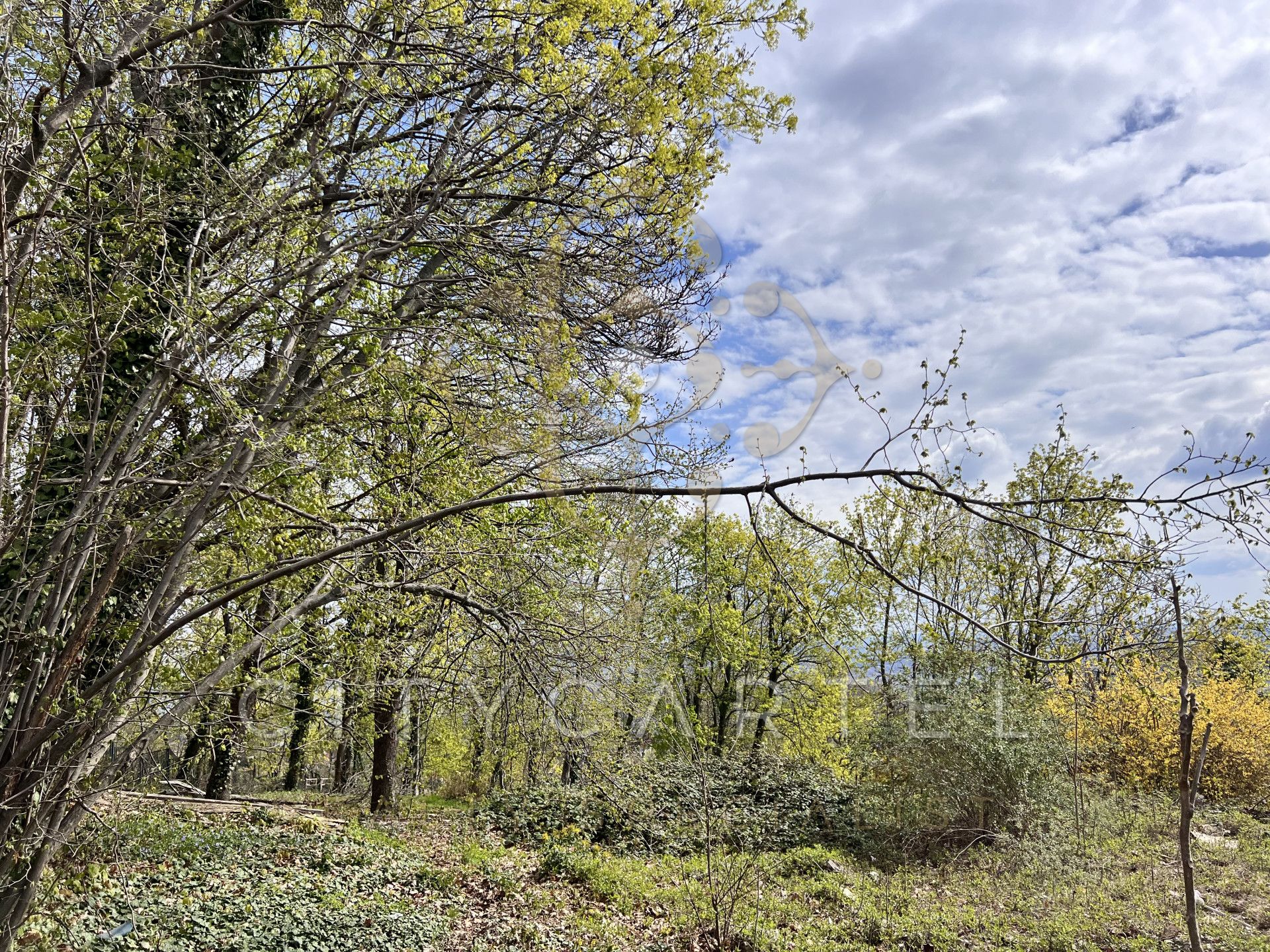 A fájl már létezik a célhelyen: import/kepek/vizjeles_5704897.jpg
Eladó Építési telek Budapest, XII. kerület  6800 m<sup>2</sup> 7000000 EUR