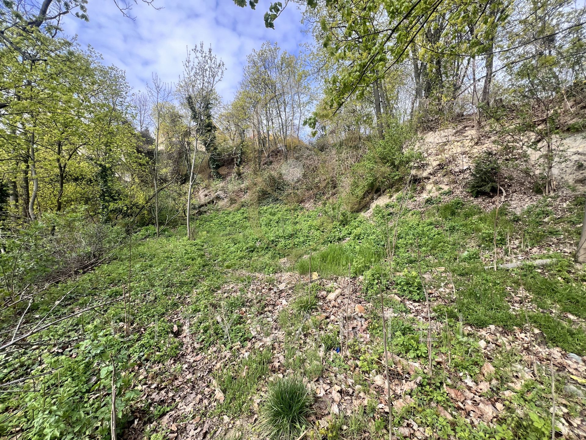 A fájl már létezik a célhelyen: import/kepek/vizjeles_5704899.jpg
Eladó Építési telek Budapest, XII. kerület  6800 m<sup>2</sup> 7000000 EUR