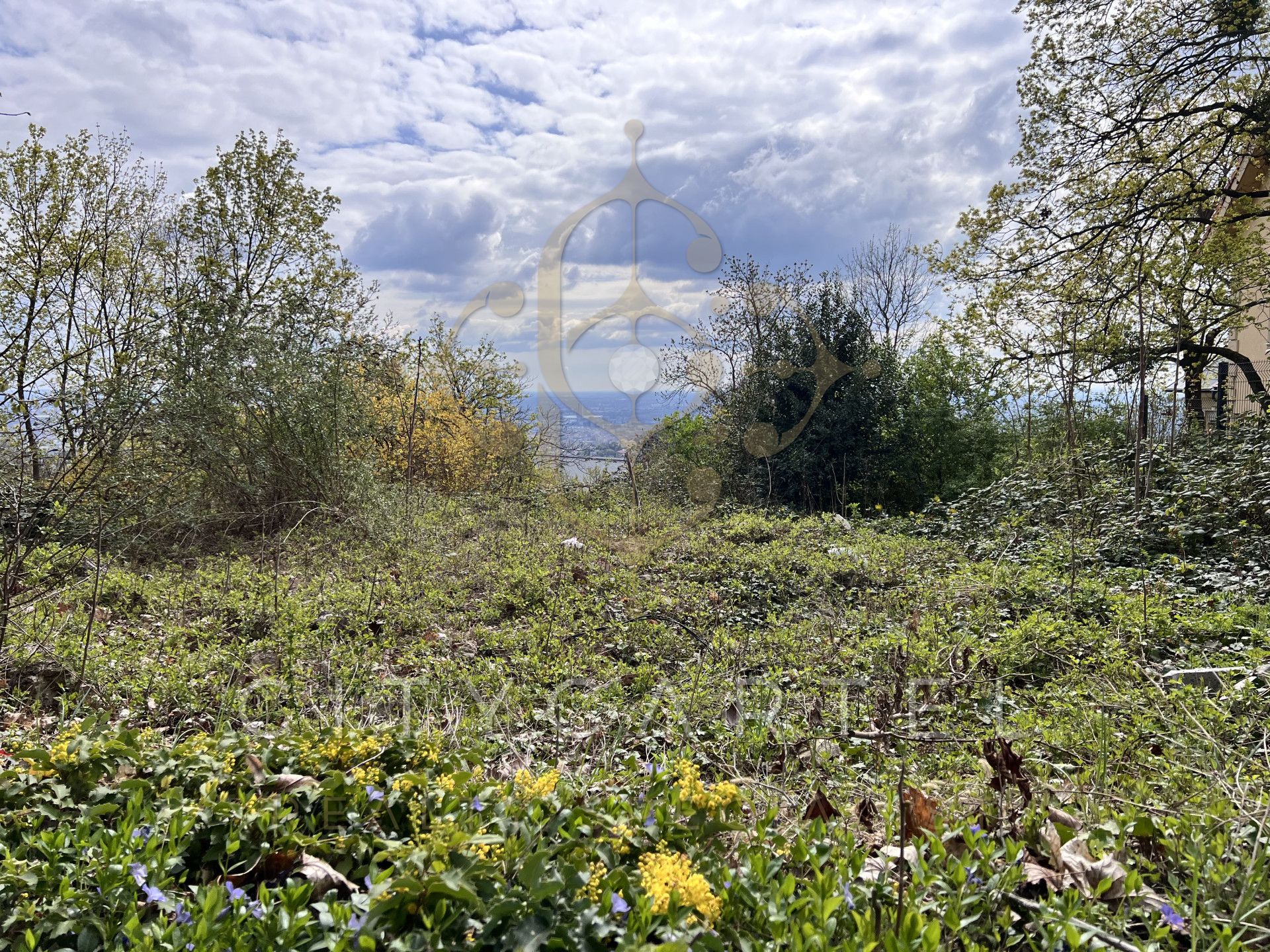 A fájl már létezik a célhelyen: import/kepek/vizjeles_5704900.jpg
Eladó Építési telek Budapest, XII. kerület  6800 m<sup>2</sup> 7000000 EUR
