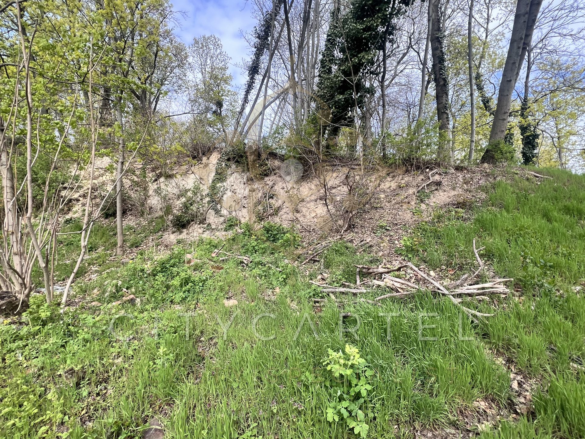 A fájl már létezik a célhelyen: import/kepek/vizjeles_5704902.jpg
Eladó Építési telek Budapest, XII. kerület  6800 m<sup>2</sup> 7000000 EUR