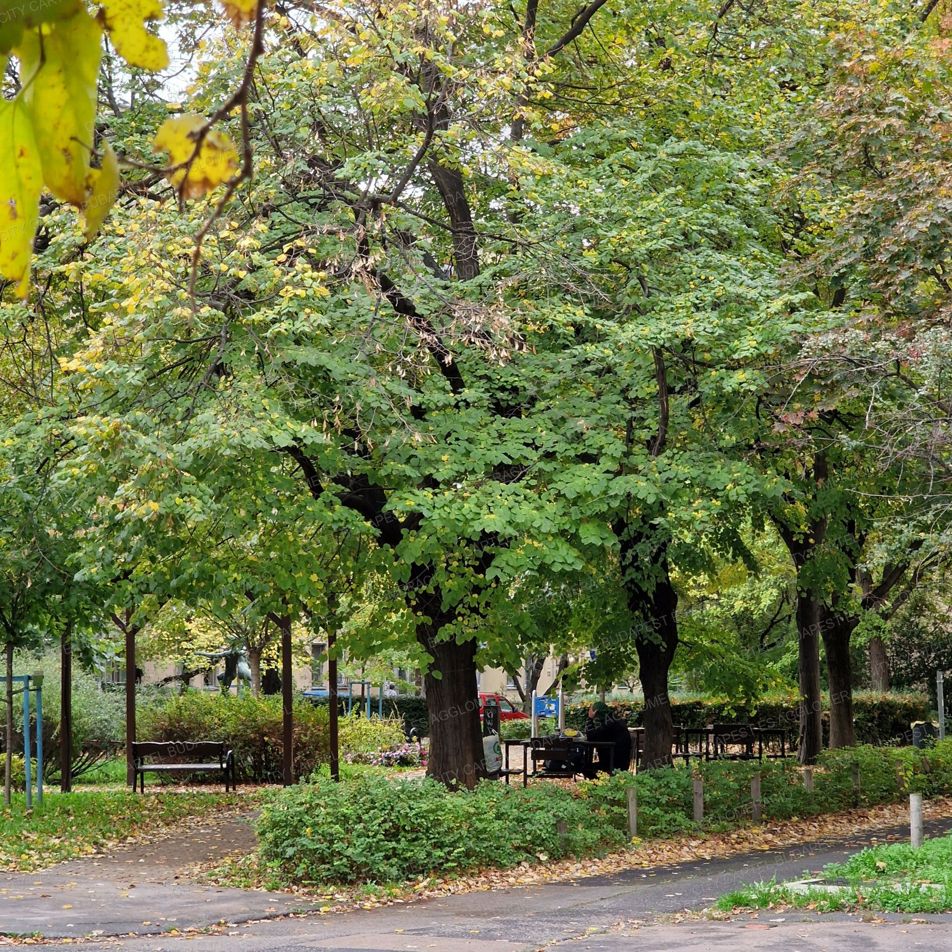 A fájl már létezik a célhelyen: import/kepek/vizjeles_5707633.jpg
Eladó üzlethelyiség Budapest, XI. kerület  458 m<sup>2</sup> 325 millió Ft