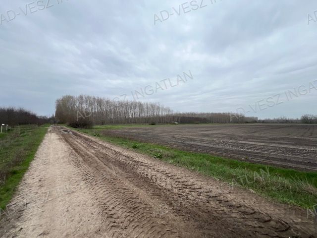 A fájl már létezik a célhelyen: import/kepek/vizjeles_5717418.jpg
Eladó Erdő Dánszentmiklós  192542 m<sup>2</sup> 58 millió Ft