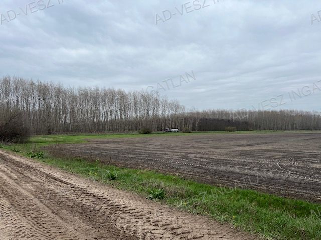 A fájl már létezik a célhelyen: import/kepek/vizjeles_5717419.jpg
Eladó Erdő Dánszentmiklós  192542 m<sup>2</sup> 58 millió Ft