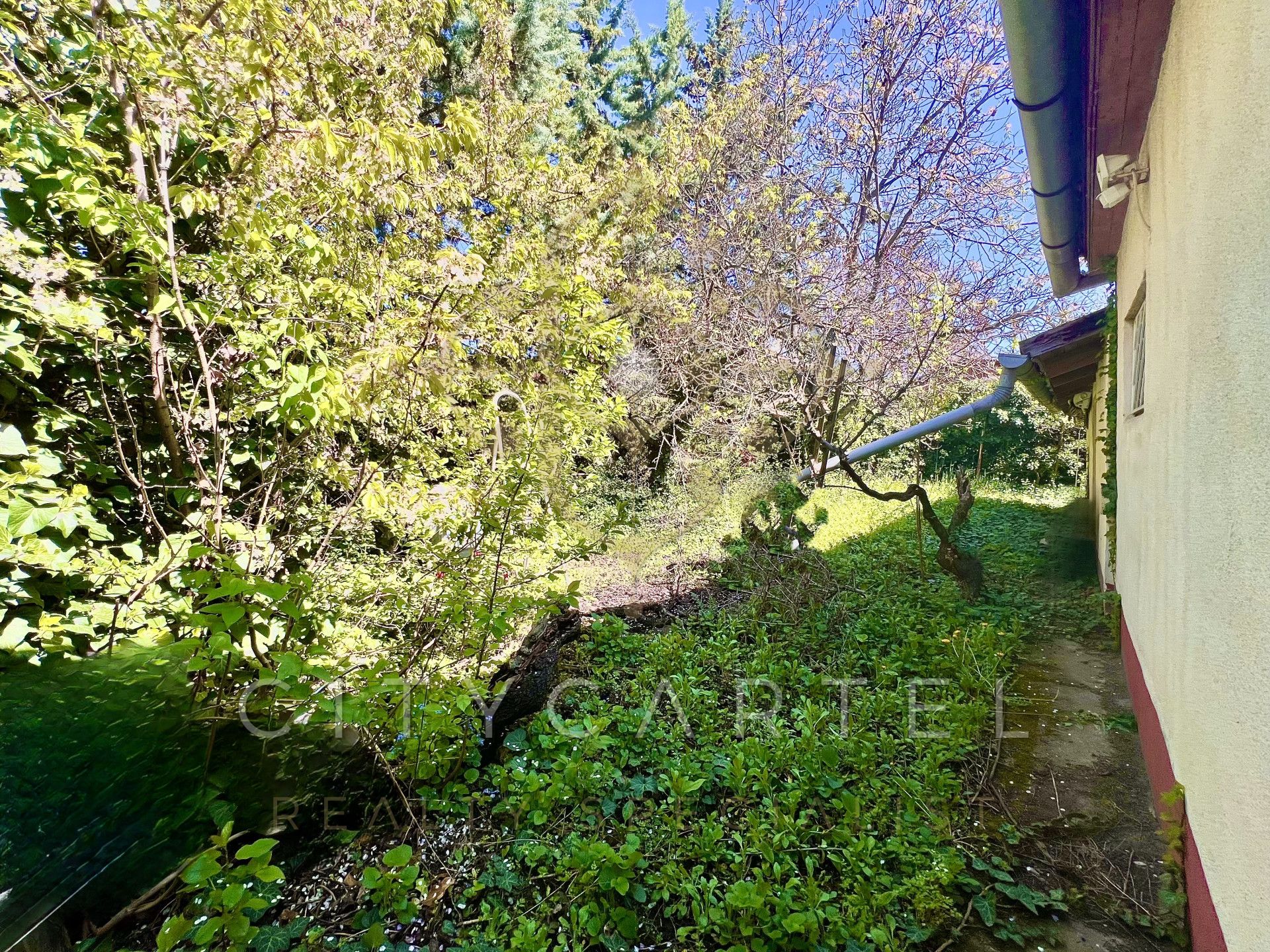 A fájl már létezik a célhelyen: import/kepek/vizjeles_5718622.jpg
For sale house Diósd  107 m<sup>2</sup> 79.9 millió Ft