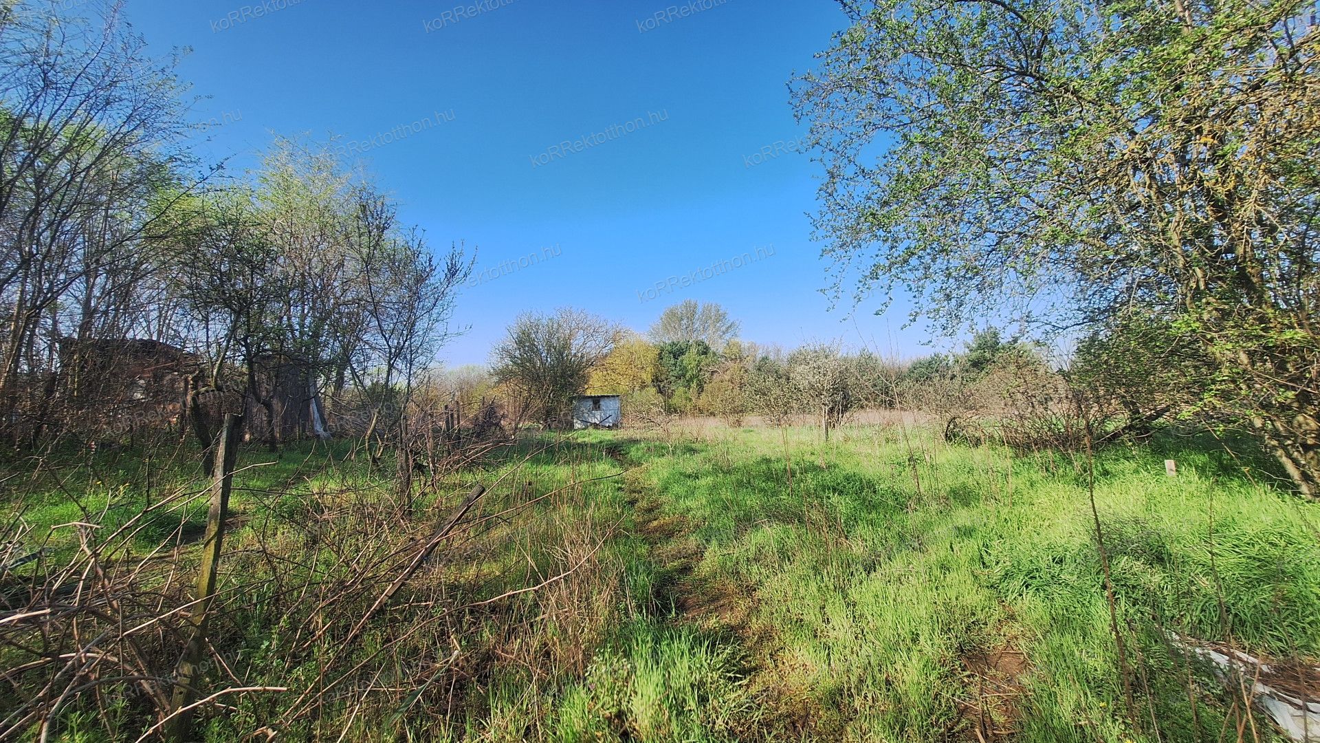 A fájl már létezik a célhelyen: import/kepek/vizjeles_5720142.jpg
Eladó Tanya Jászberény  64 m<sup>2</sup> 4.99 millió Ft