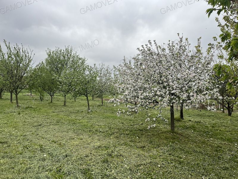 A fájl már létezik a célhelyen: import/kepek/vizjeles_5724593.jpg
Eladó Családi ház Nagybajom  114 m<sup>2</sup> 22.5 millió Ft