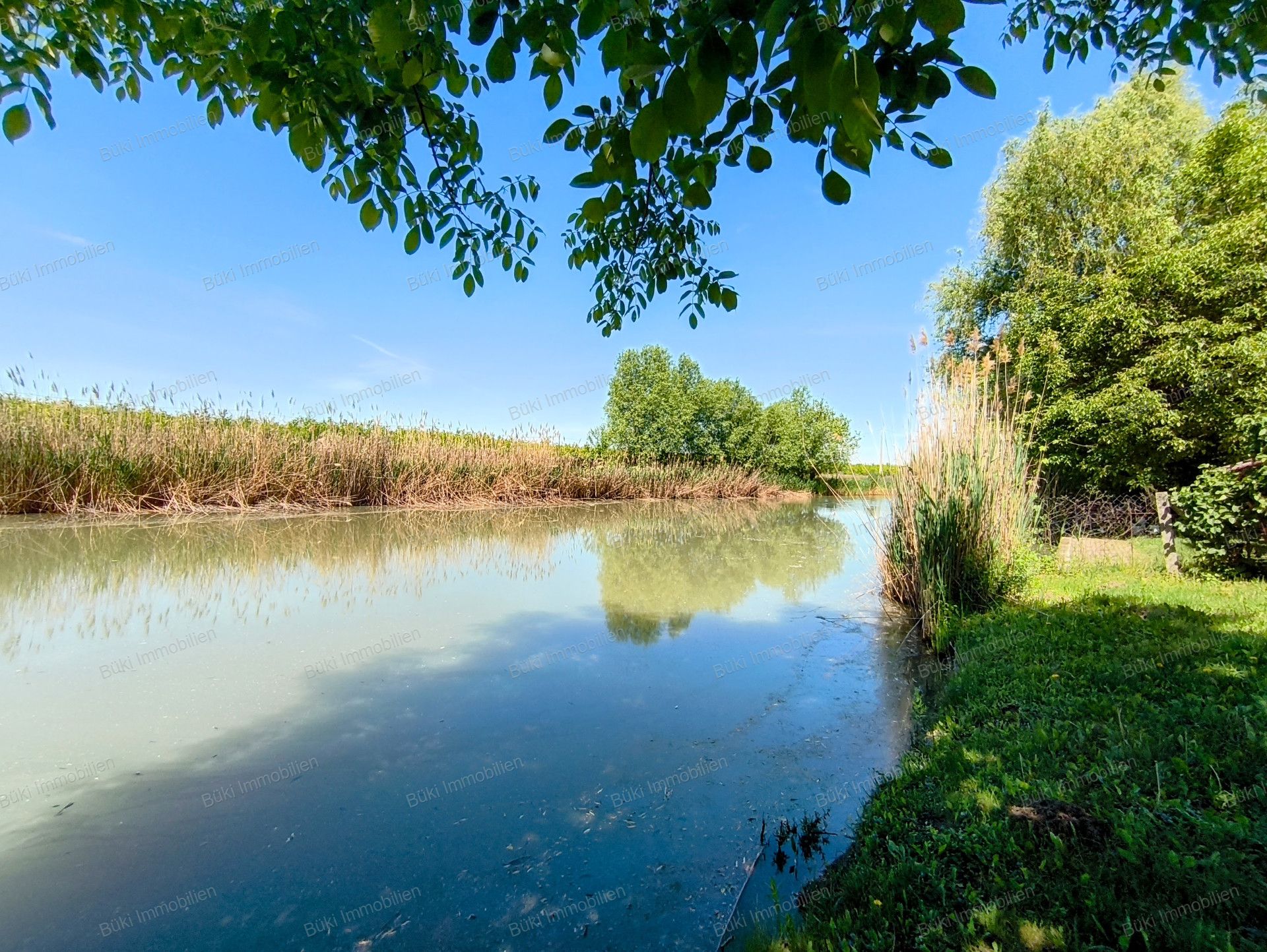 A fájl már létezik a célhelyen: import/kepek/vizjeles_5741207.jpg
For sale Arable land Mezőberény  953 m<sup>2</sup> 7.5 millió Ft