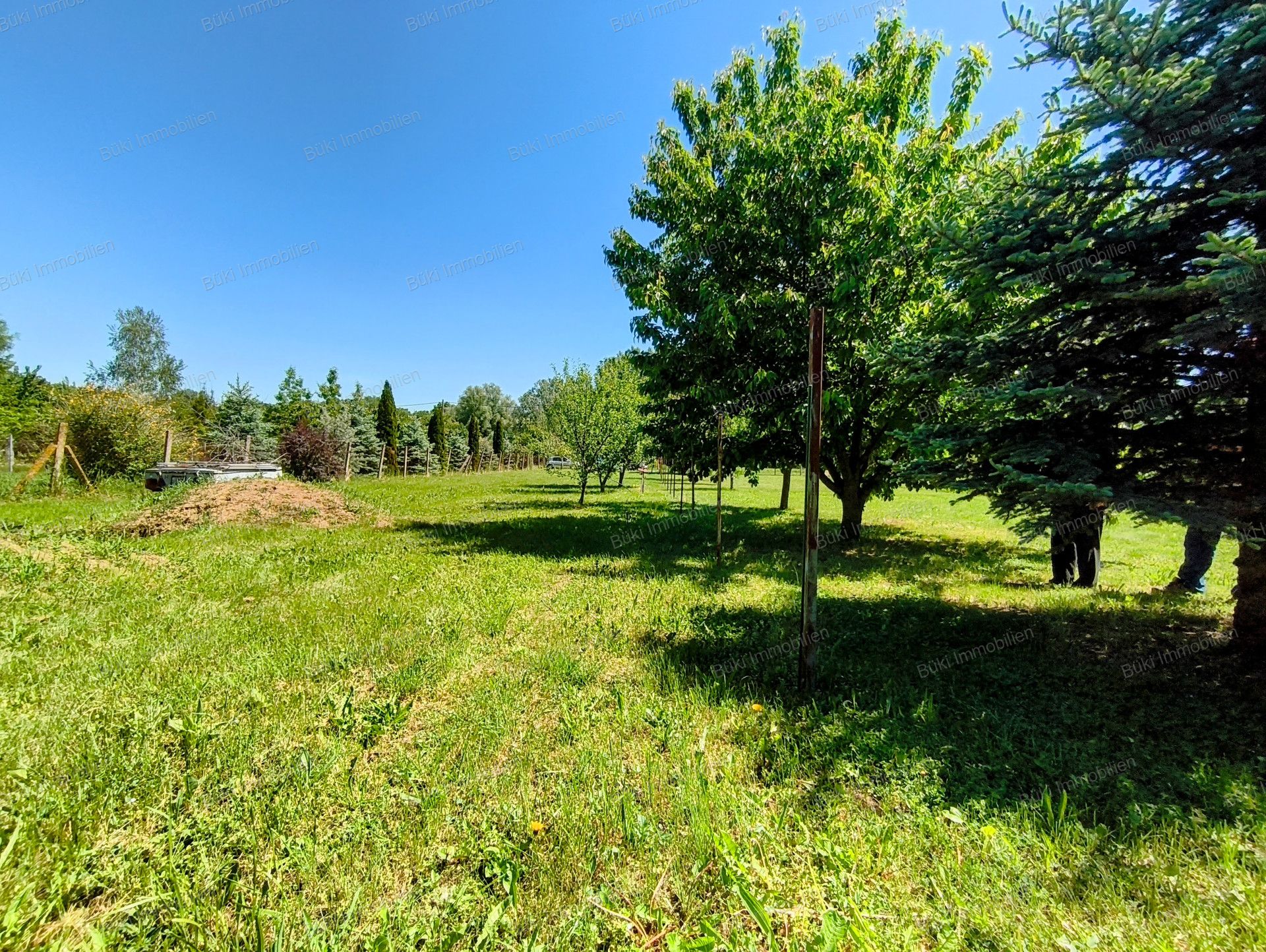 A fájl már létezik a célhelyen: import/kepek/vizjeles_5741208.jpg
For sale Arable land Mezőberény  953 m<sup>2</sup> 7.5 millió Ft
