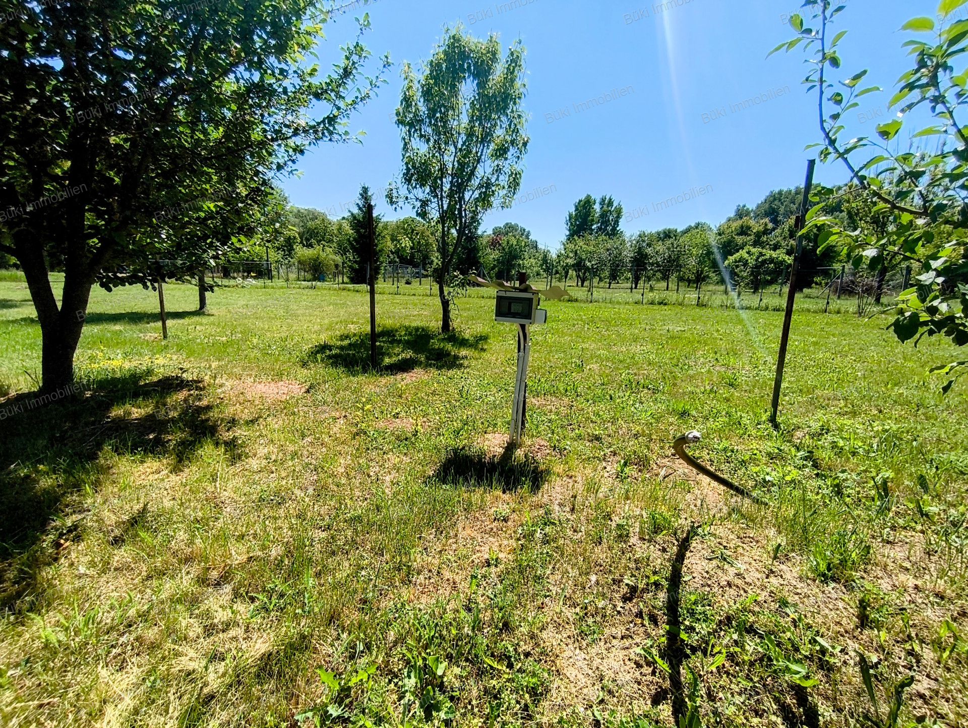 A fájl már létezik a célhelyen: import/kepek/vizjeles_5741209.jpg
For sale Arable land Mezőberény  953 m<sup>2</sup> 7.5 millió Ft