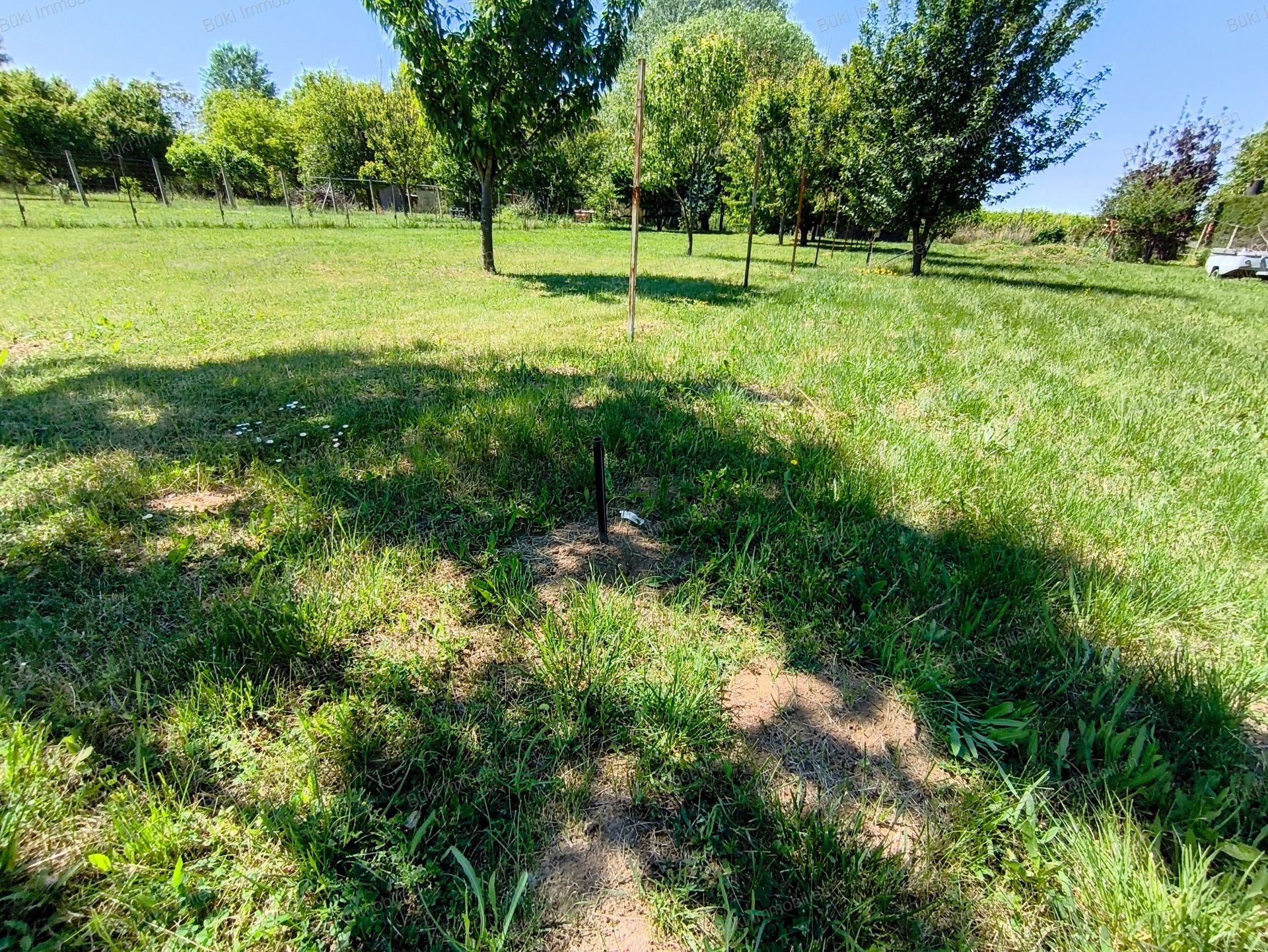 A fájl már létezik a célhelyen: import/kepek/vizjeles_5741210.jpg
For sale Arable land Mezőberény  953 m<sup>2</sup> 7.5 millió Ft