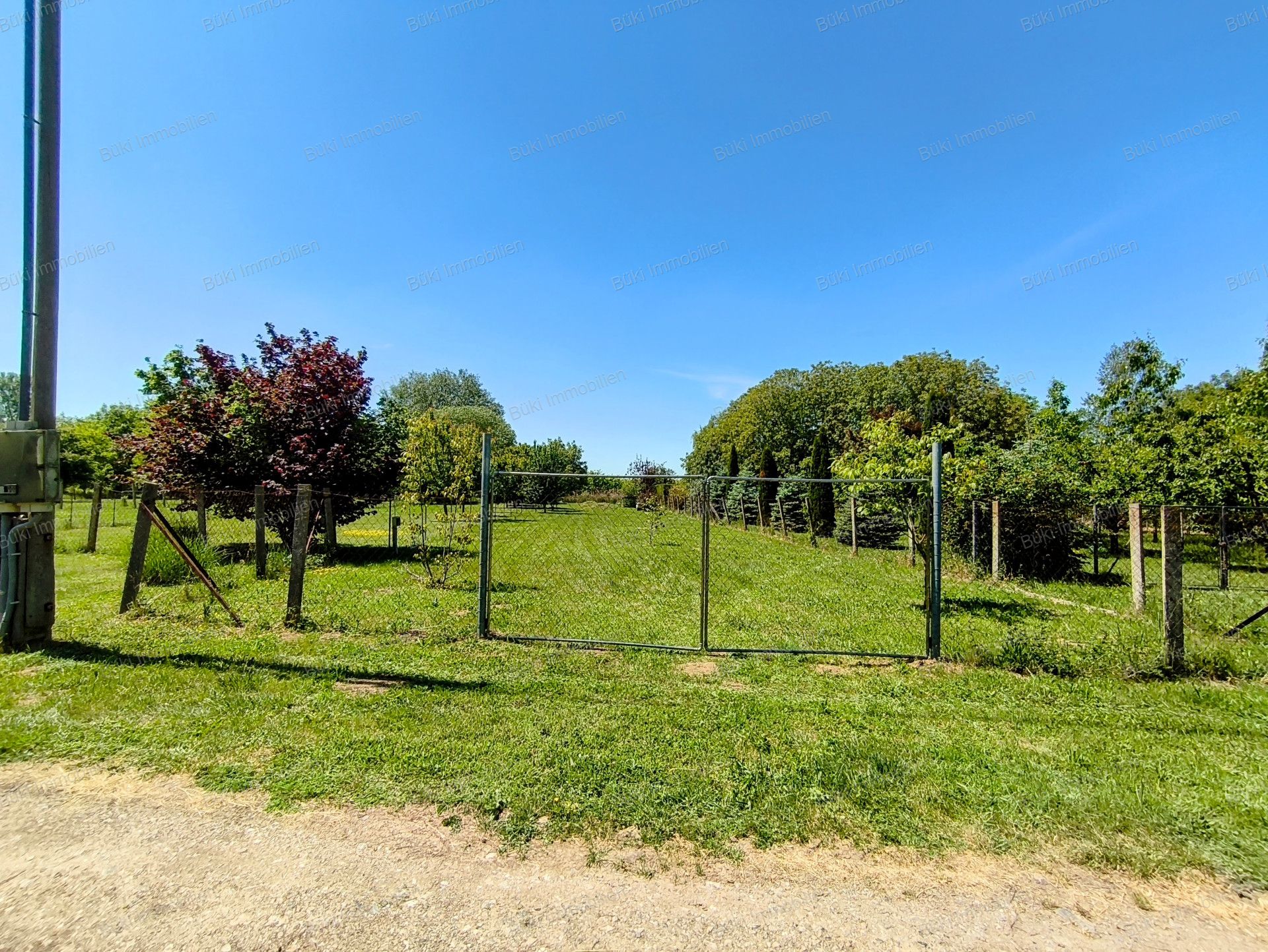 A fájl már létezik a célhelyen: import/kepek/vizjeles_5741211.jpg
For sale Arable land Mezőberény  953 m<sup>2</sup> 7.5 millió Ft
