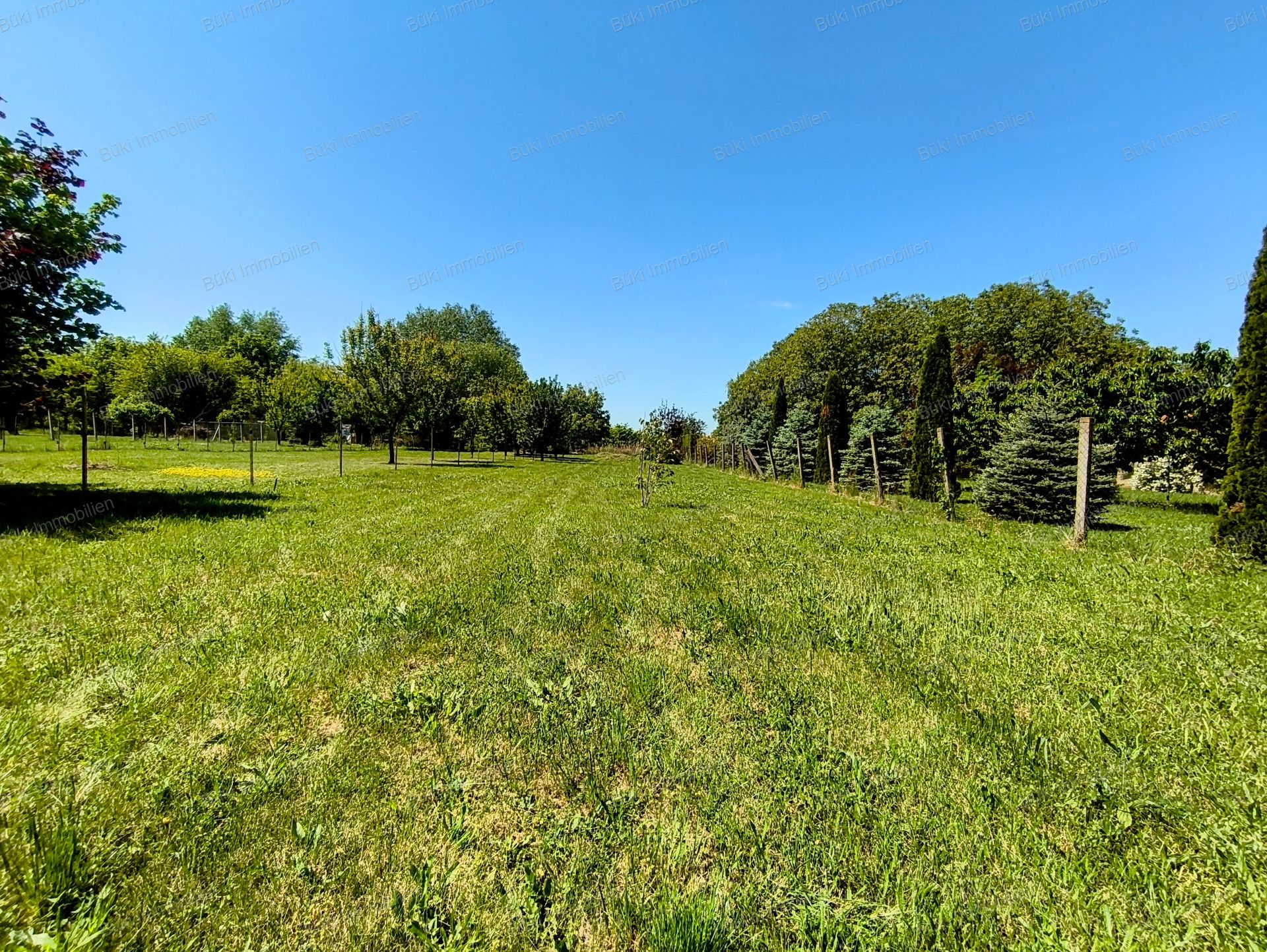 A fájl már létezik a célhelyen: import/kepek/vizjeles_5741212.jpg
For sale Arable land Mezőberény  953 m<sup>2</sup> 7.5 millió Ft