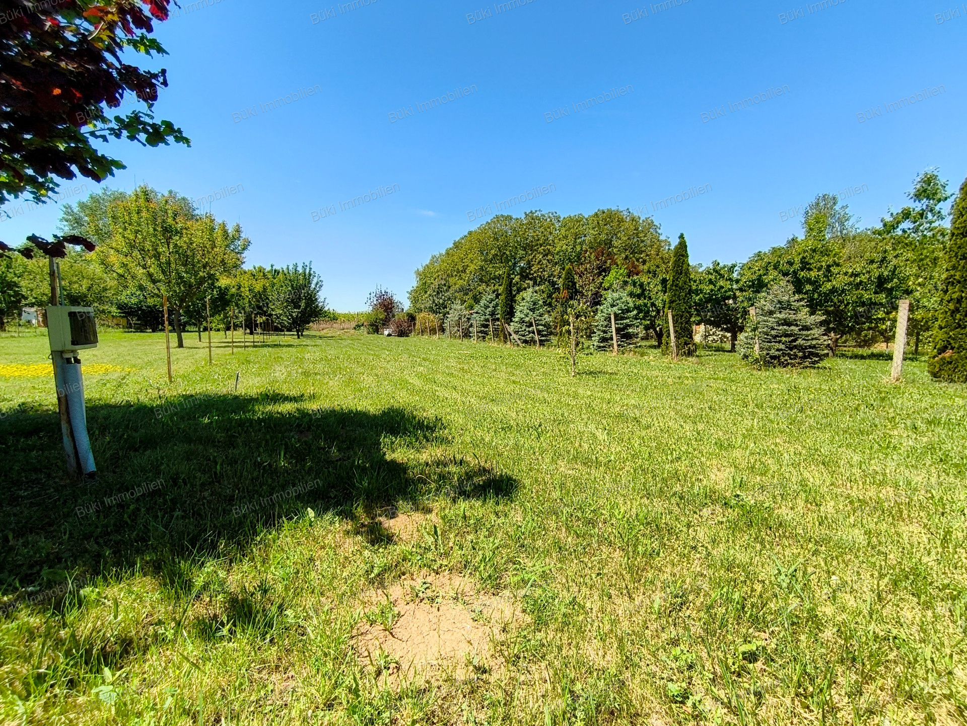 A fájl már létezik a célhelyen: import/kepek/vizjeles_5741213.jpg
For sale Arable land Mezőberény  953 m<sup>2</sup> 7.5 millió Ft