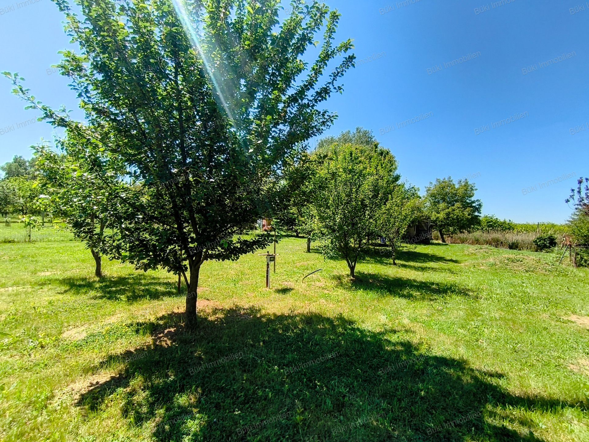 A fájl már létezik a célhelyen: import/kepek/vizjeles_5741214.jpg
For sale Arable land Mezőberény  953 m<sup>2</sup> 7.5 millió Ft